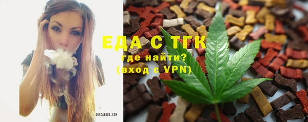тгк Дмитров