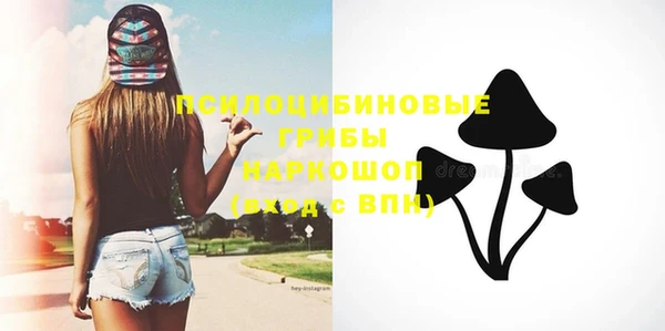 тгк Дмитров