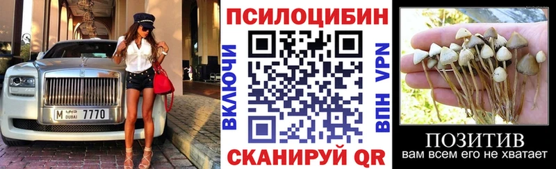 Купить Иннополис Галлюциногенные грибы Psilocybine cubensis